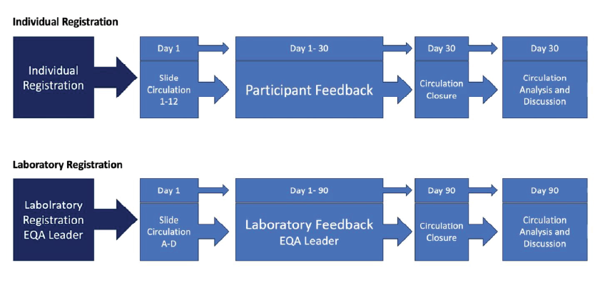 EQA REGISTRATION